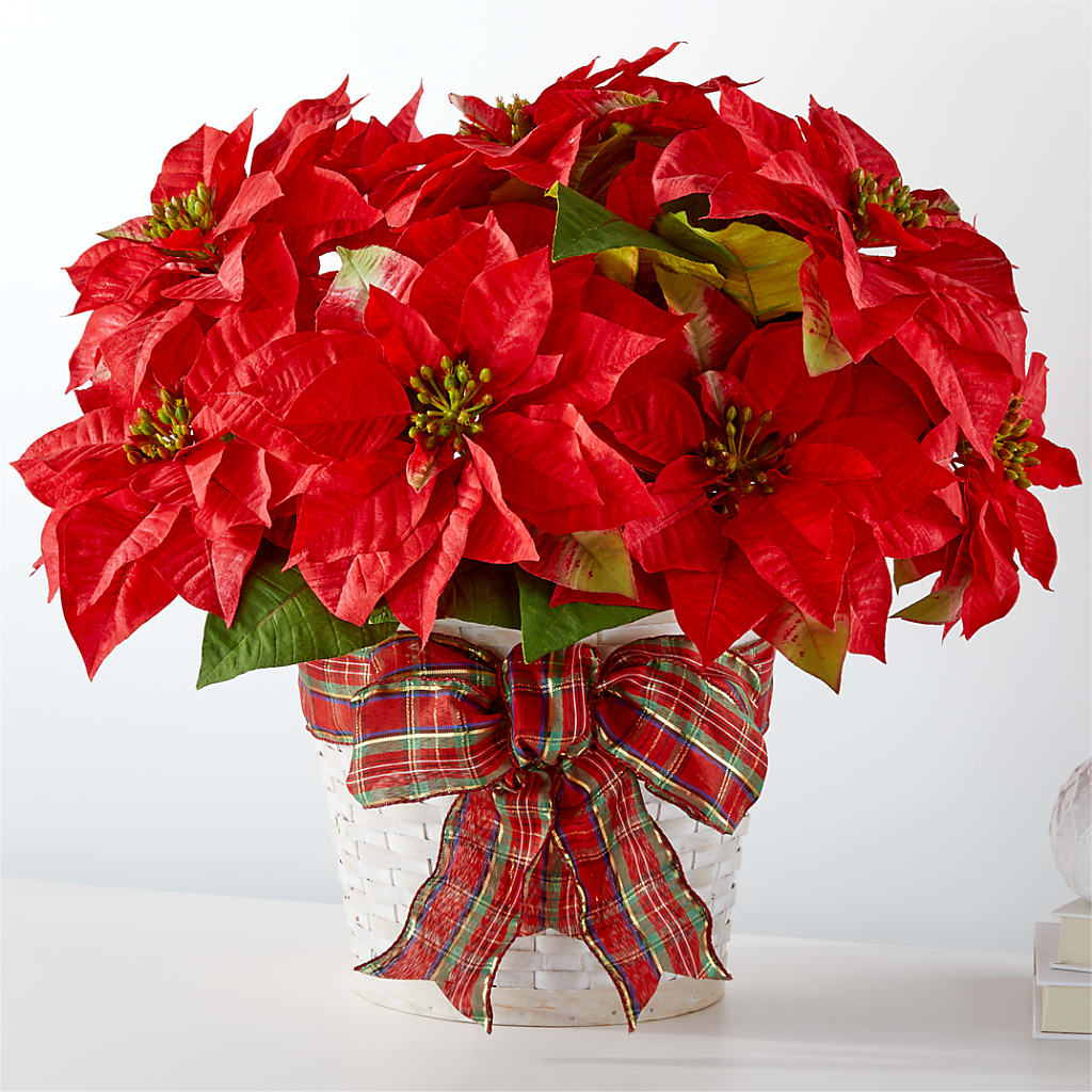 Happiest Holidays Poinsettia – A&L FLORAL, Hamilton NJ