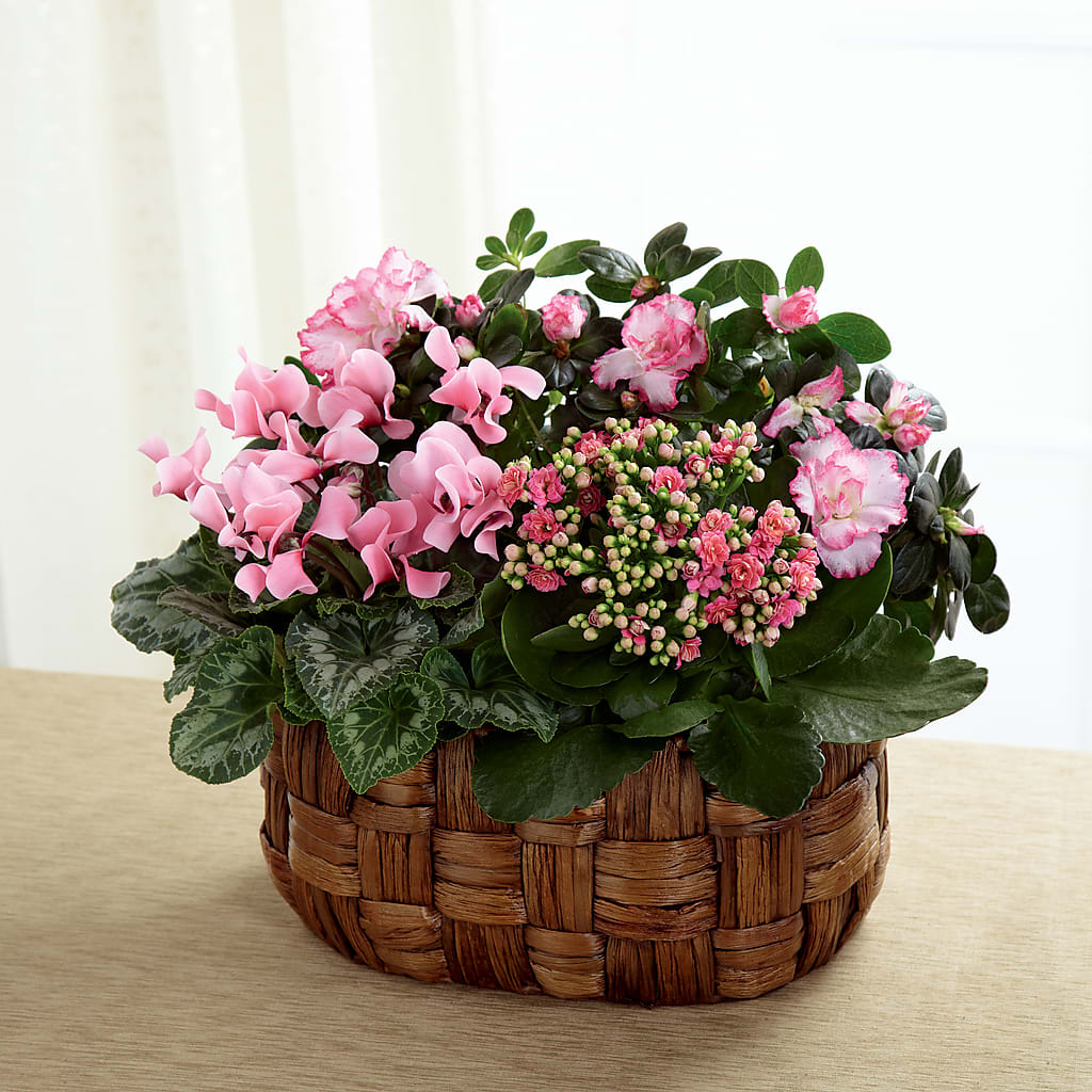 Pink Assortment – A&L FLORAL, Hamilton NJ