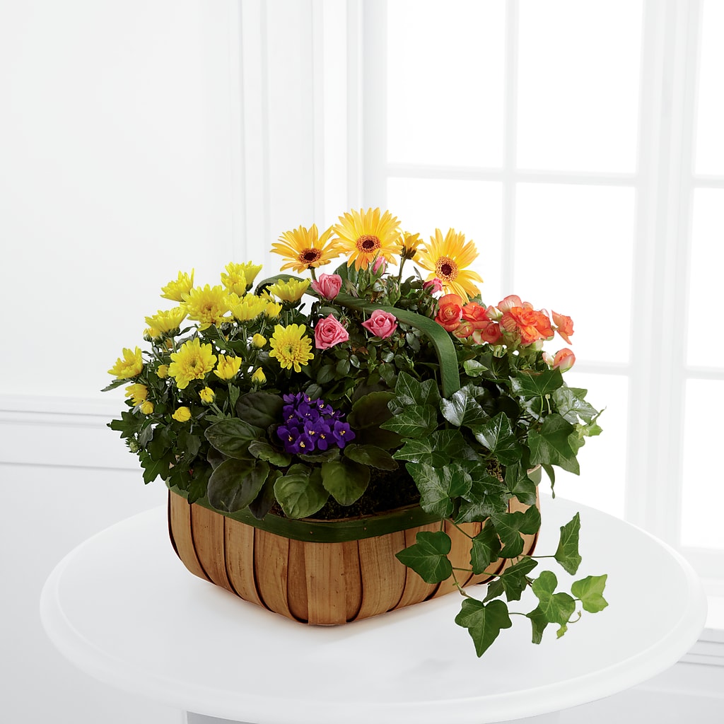 Gentle Blossoms Basket – A&L FLORAL, Hamilton NJ