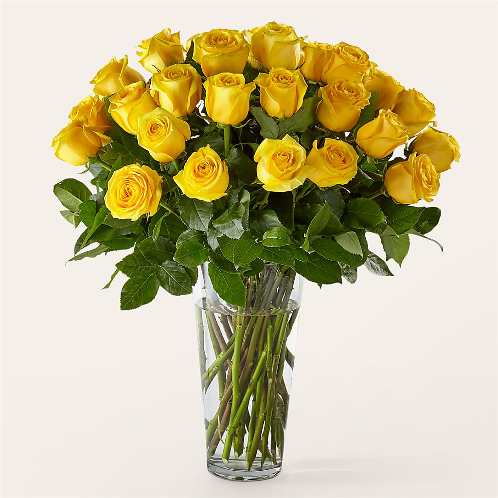 Long Stem Yellow Rose Bouquet – A&L FLORAL, Hamilton NJ