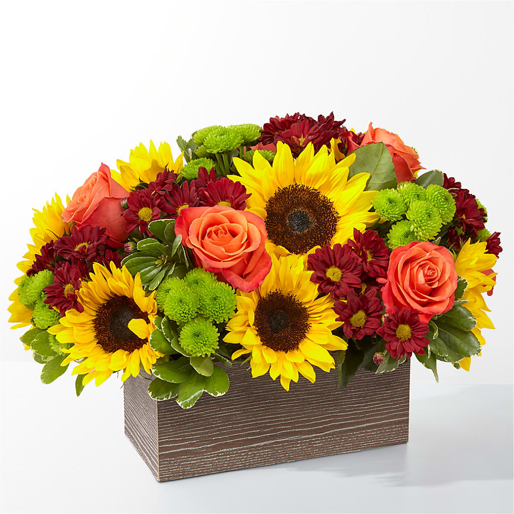 Happy Harvest Garden – A&L FLORAL, Hamilton NJ