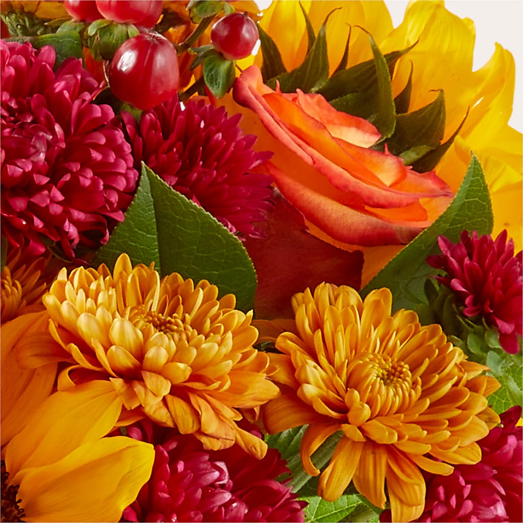 Sweater Season - A Florist Original – A&L FLORAL, Hamilton NJ