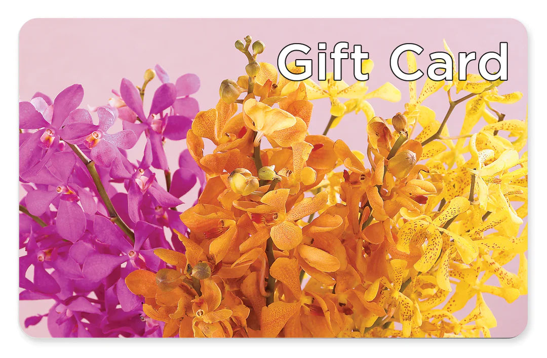 Gift Card – A&L FLORAL, Hamilton NJ