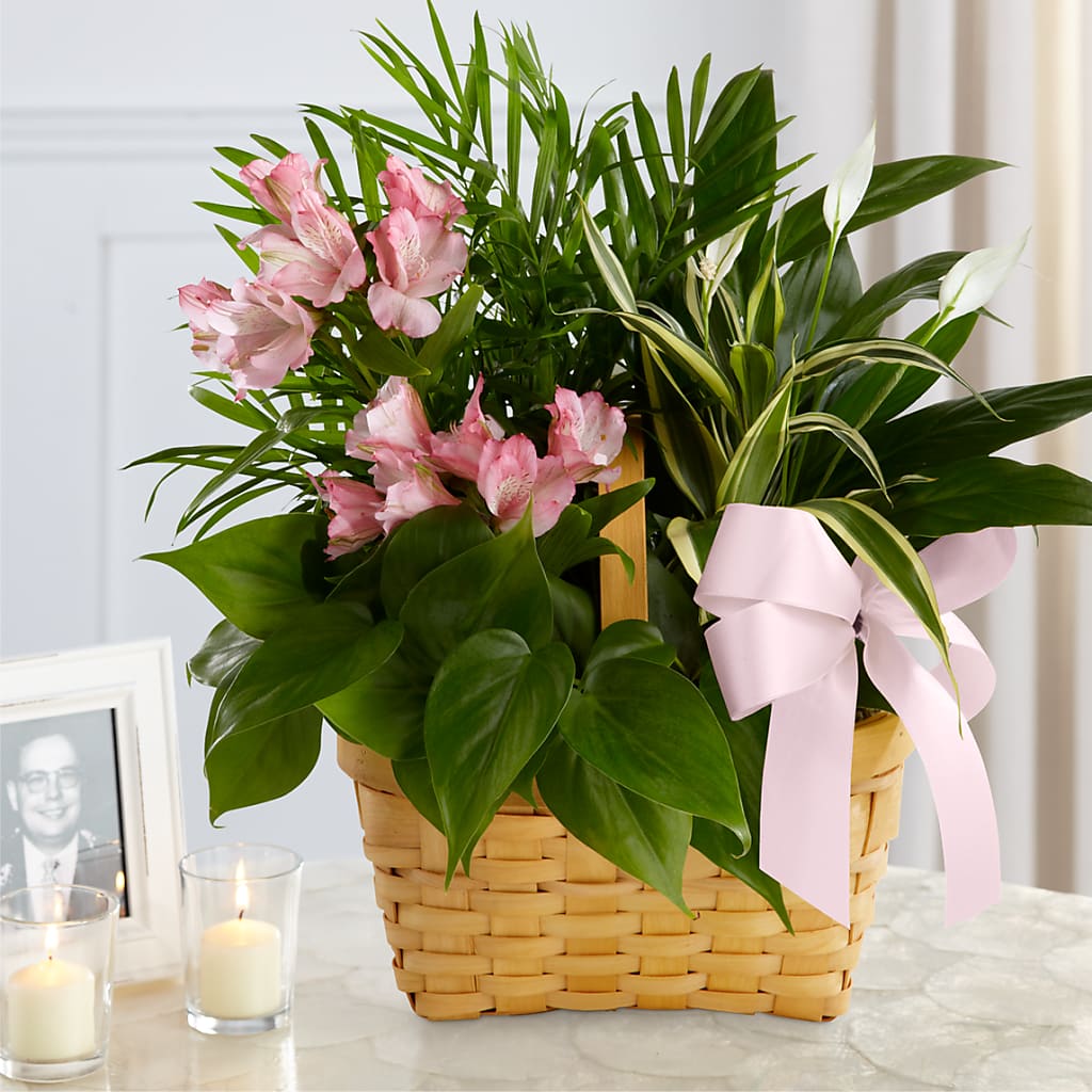 Living Spirit Dishgarden – A&L FLORAL, Hamilton NJ