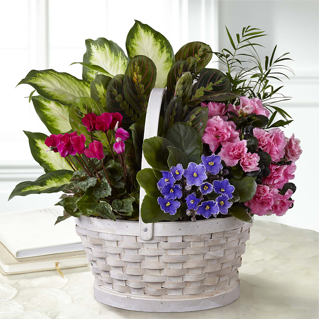 Peaceful Garden Planter – A&L FLORAL, Hamilton NJ