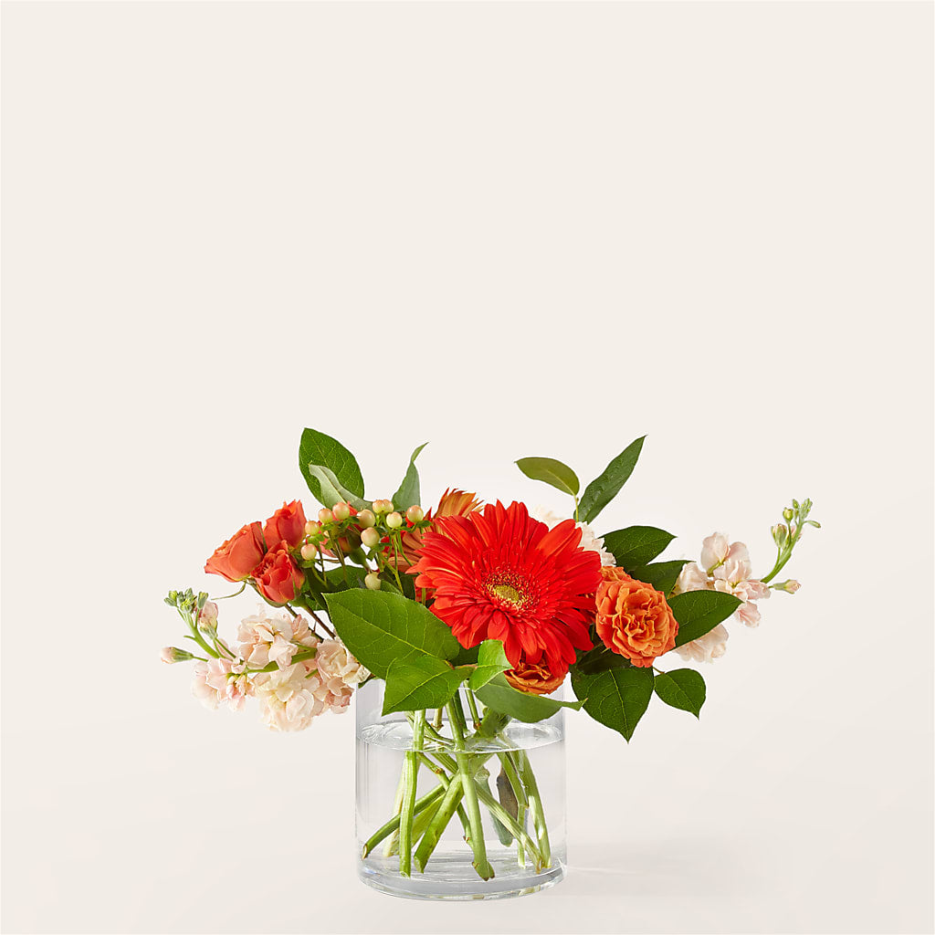 Paloma Please Bouquet – A&L FLORAL, Hamilton NJ