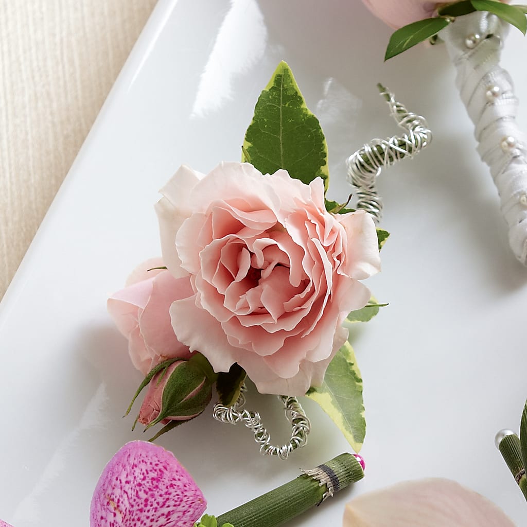 Pink Spray Rose Boutonniere – A&L FLORAL, Hamilton NJ