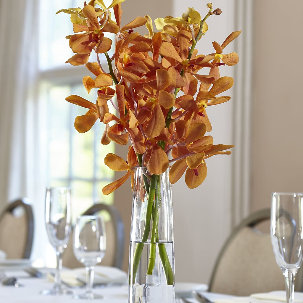 Orange Mokara Bud Vase – A&L FLORAL, Hamilton NJ