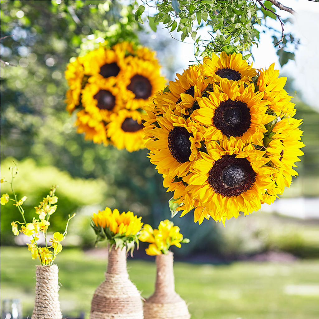 Sublime Garden Hanging Arrangement – A&L FLORAL, Hamilton NJ