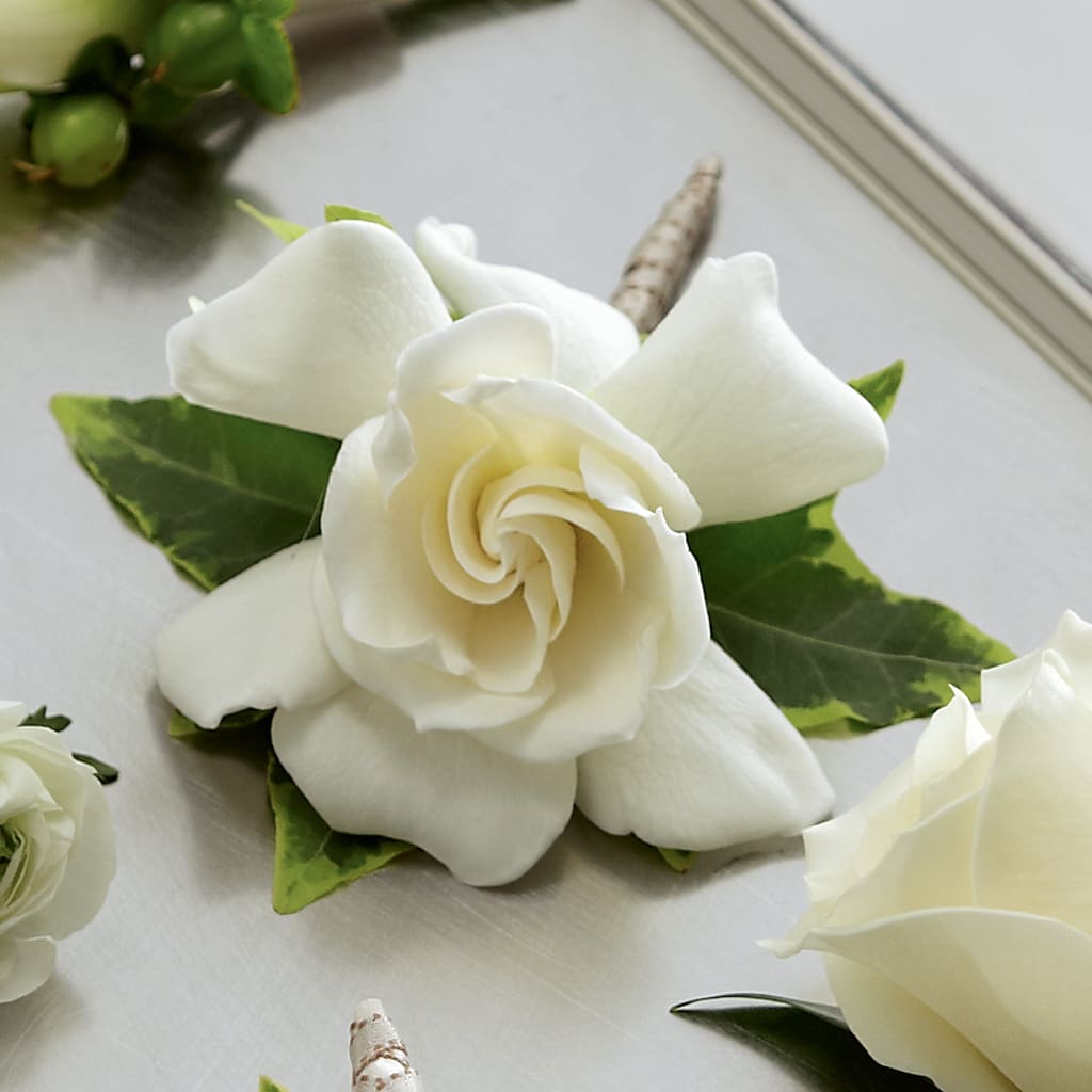 Gardenia Boutonniere – A&L FLORAL, Hamilton NJ