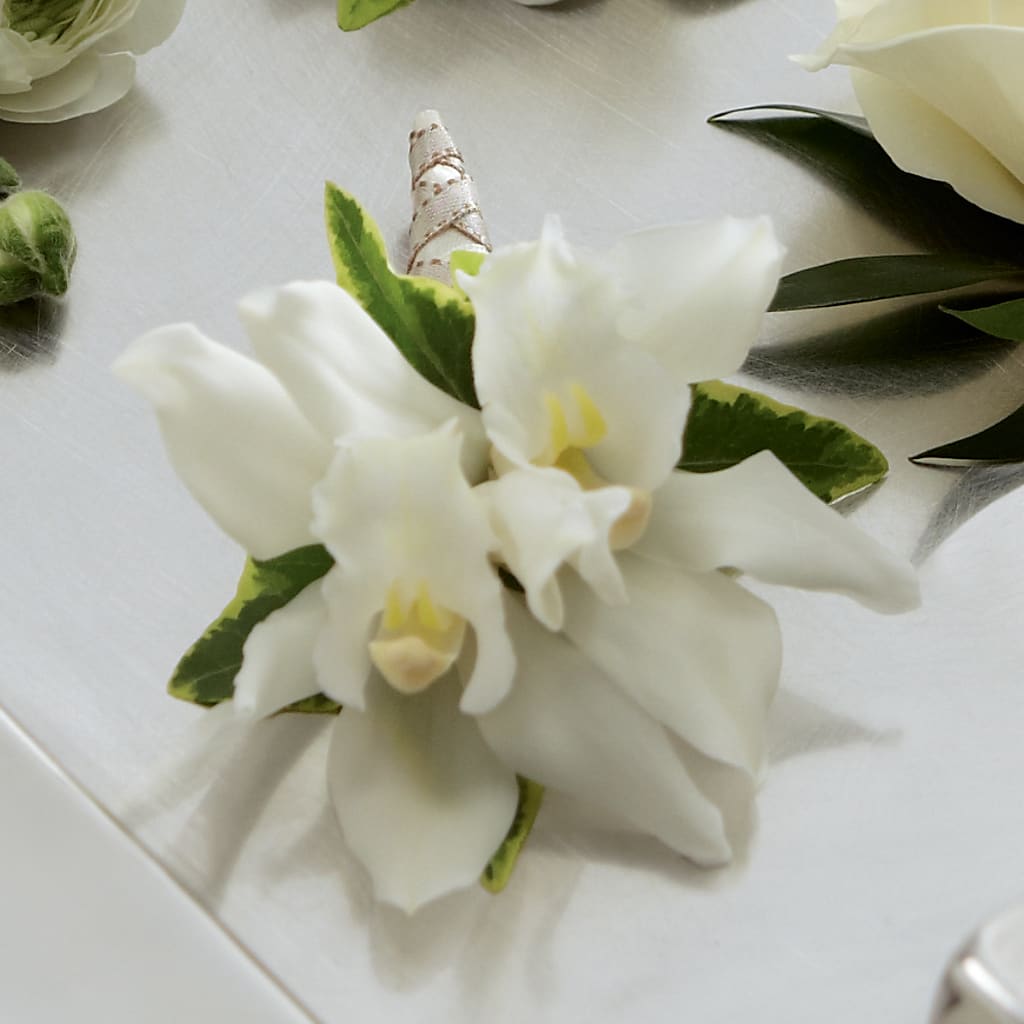 White Mini Cymbidium Boutonniere – A&L FLORAL, Hamilton NJ