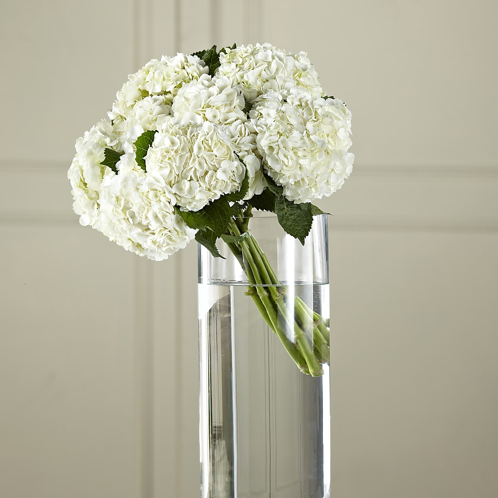 White Hydrangea Hand-Tied Bouquet – A&L FLORAL, Hamilton NJ