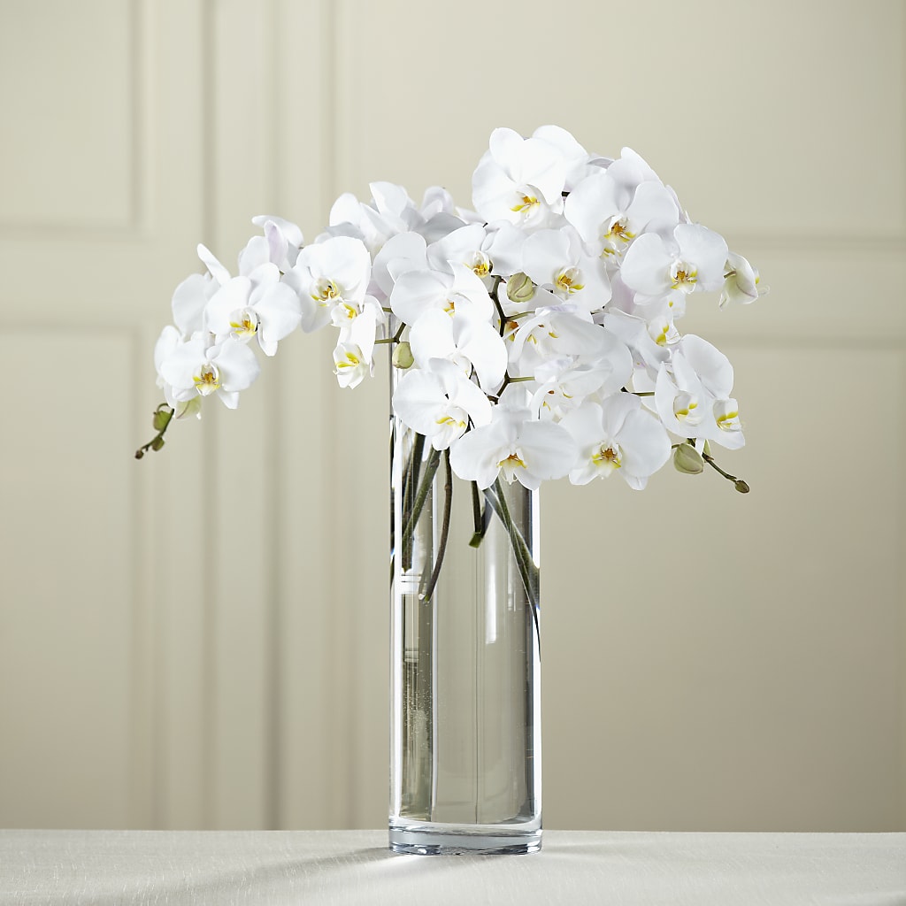 White Phalaenopsis Bouquet – A&L FLORAL, Hamilton NJ