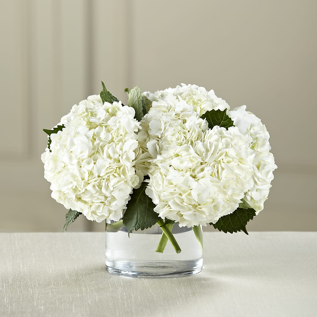 White Hydrangea Bouquet – A&L FLORAL, Hamilton NJ