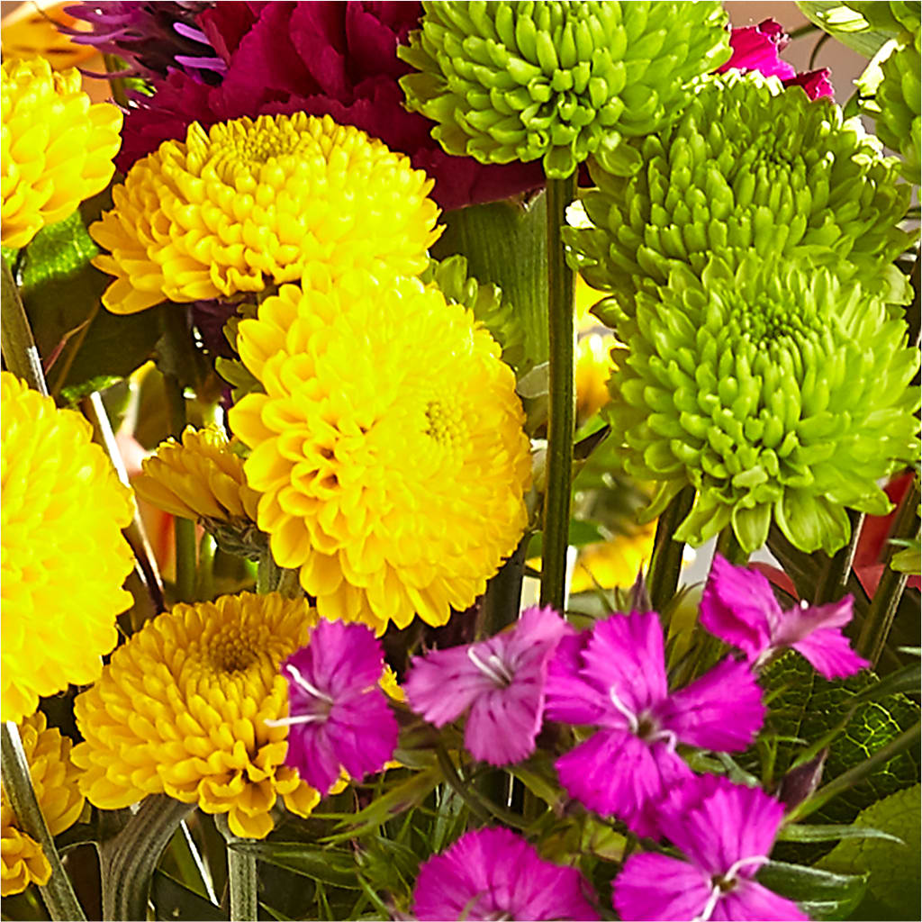 Bold & Bright – A Florist Original – A&L FLORAL, Hamilton NJ