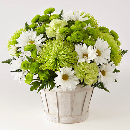 Lucky Charm Basket (Standard) – A&L FLORAL, Hamilton NJ