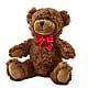 Adorable Plush Bear – A&L FLORAL, Hamilton NJ