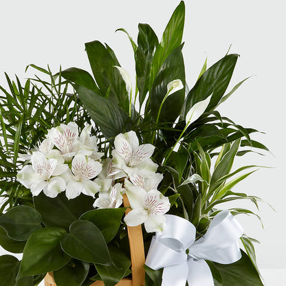 Peace & Serenity Dishgarden – A&L FLORAL, Hamilton NJ