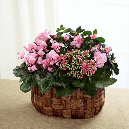 Pink Assortment – A&L FLORAL, Hamilton NJ