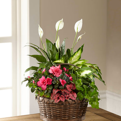 Dream in Pink Dishgarden – A&L FLORAL, Hamilton NJ
