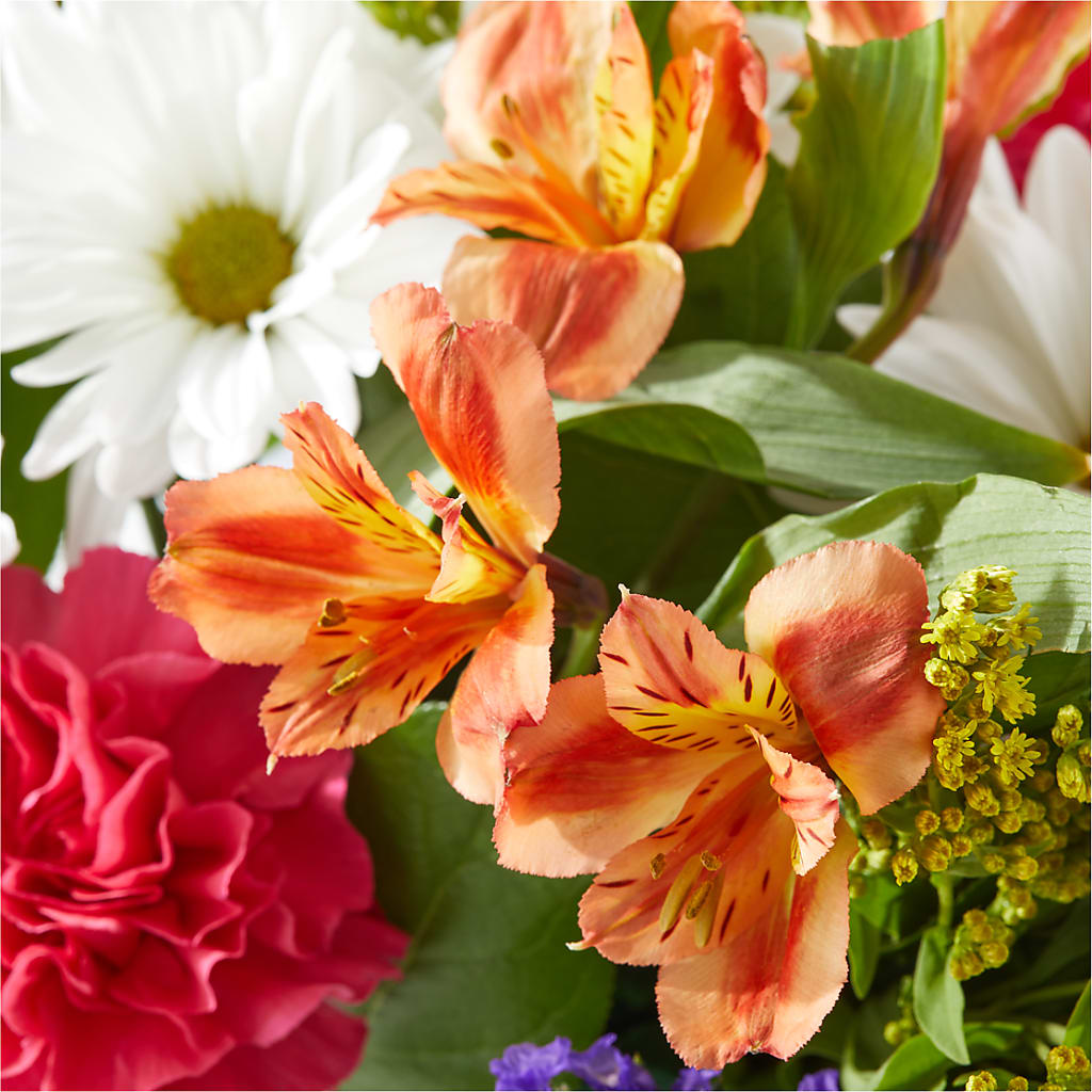 Oopsie Daisy Box Bouquet – A&L FLORAL, Hamilton NJ