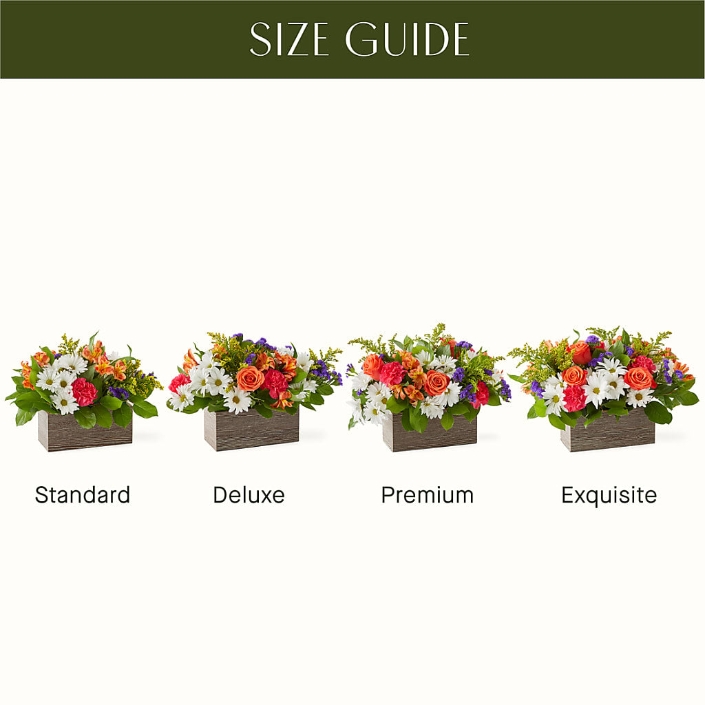 Oopsie Daisy Box Bouquet – A&L FLORAL, Hamilton NJ