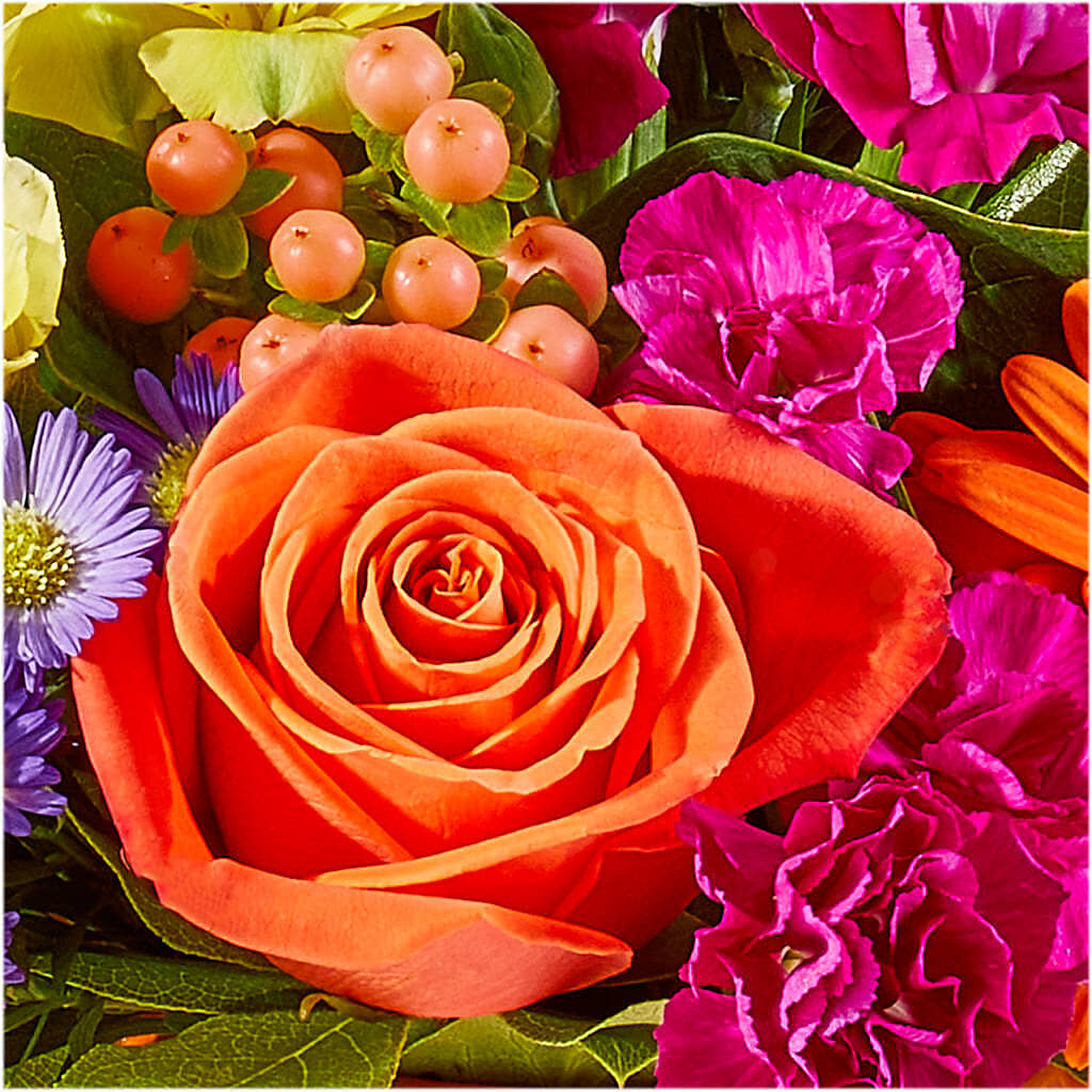 Tricks & Treats Pumpkin – A&L FLORAL, Hamilton NJ