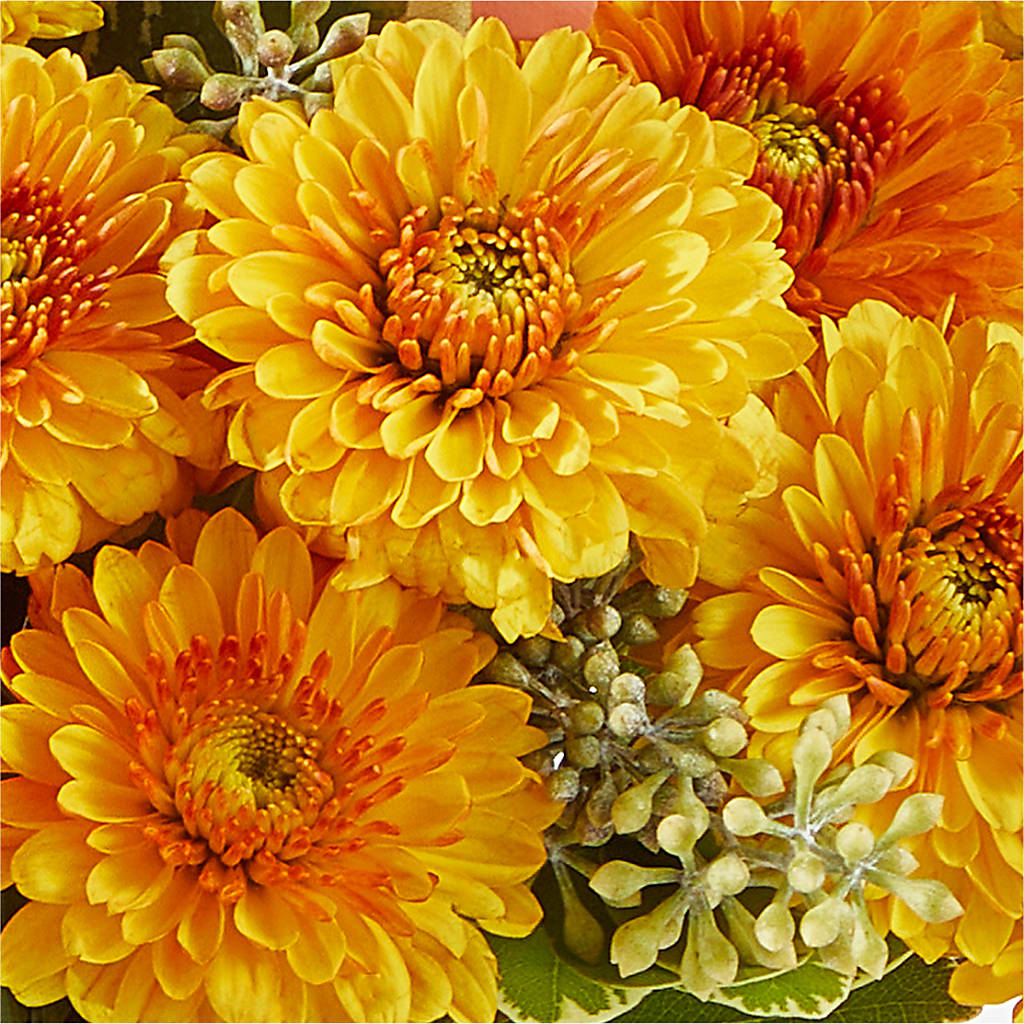 Peachy Pumpkin – A&L FLORAL, Hamilton NJ