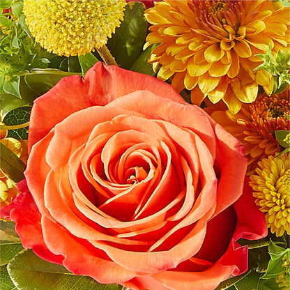 Gourdgeous Pumpkin – A&L FLORAL, Hamilton NJ