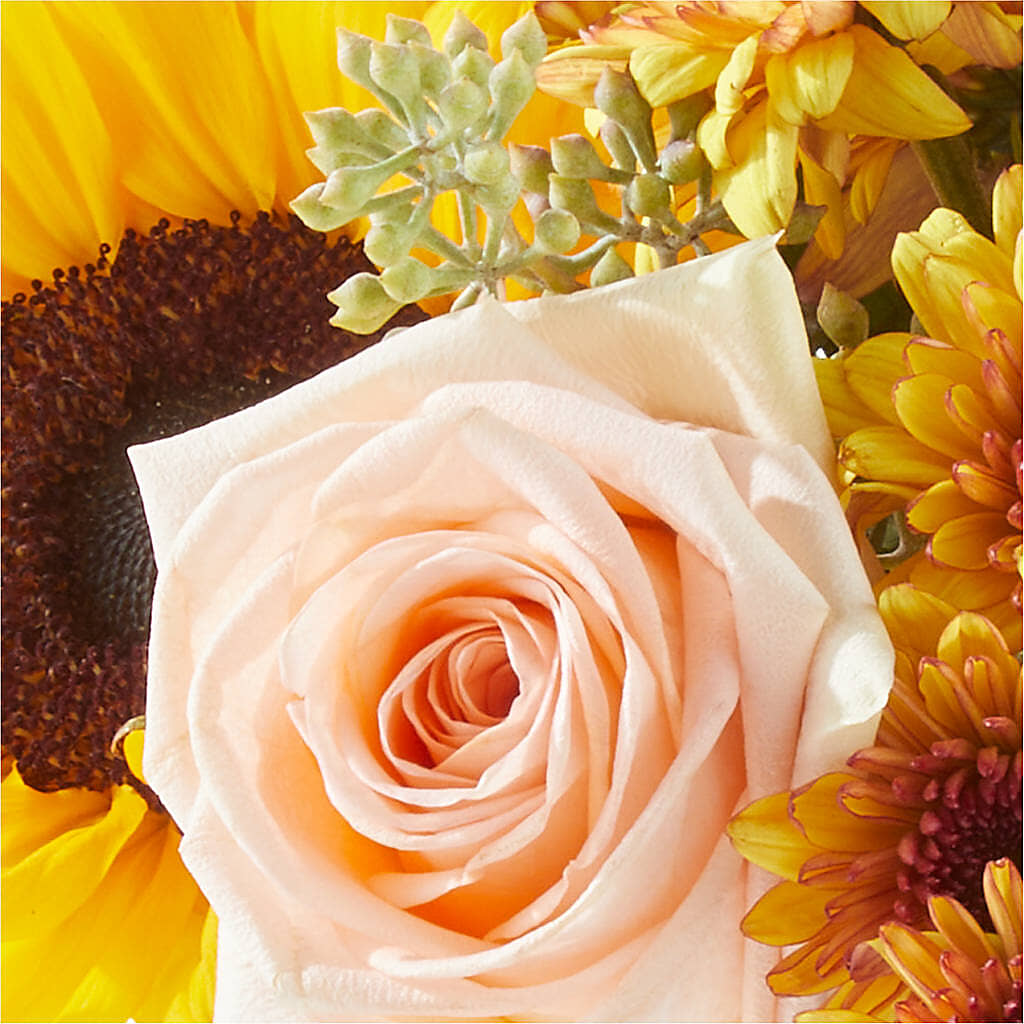 Pumpkin to Talk About Bouquet – A&L FLORAL, Hamilton NJ