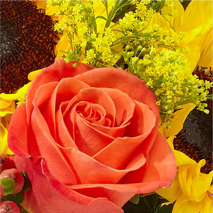 Pick of the Patch Pumpkin Bouquet – A&L FLORAL, Hamilton NJ