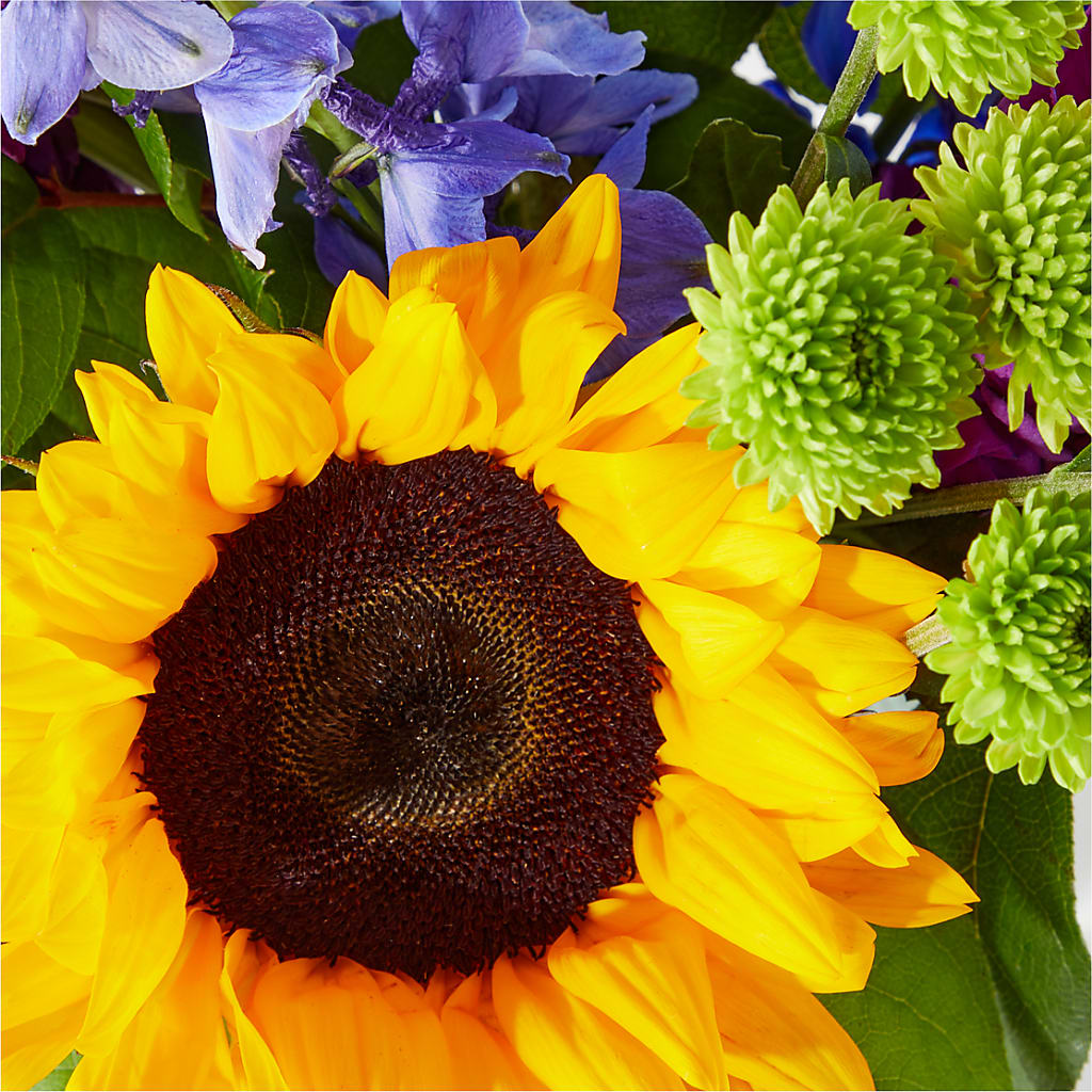 Catching Rays Bouquet – A&L FLORAL, Hamilton NJ