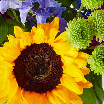 Catching Rays Bouquet – A&L FLORAL, Hamilton NJ