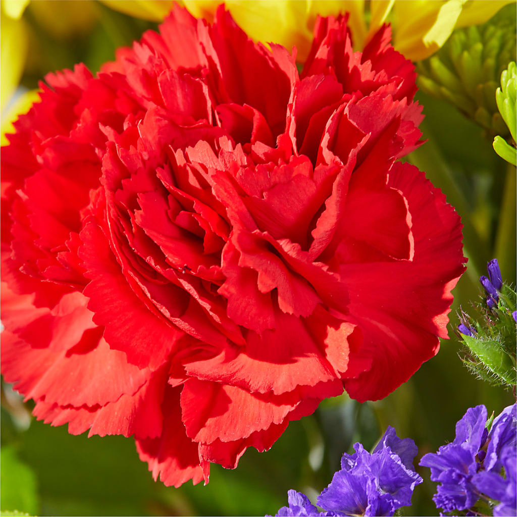 Brighter Days Bouquet – A&L FLORAL, Hamilton NJ