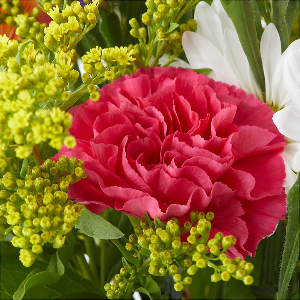 Oopsie Daisy Bouquet – A&L FLORAL, Hamilton NJ