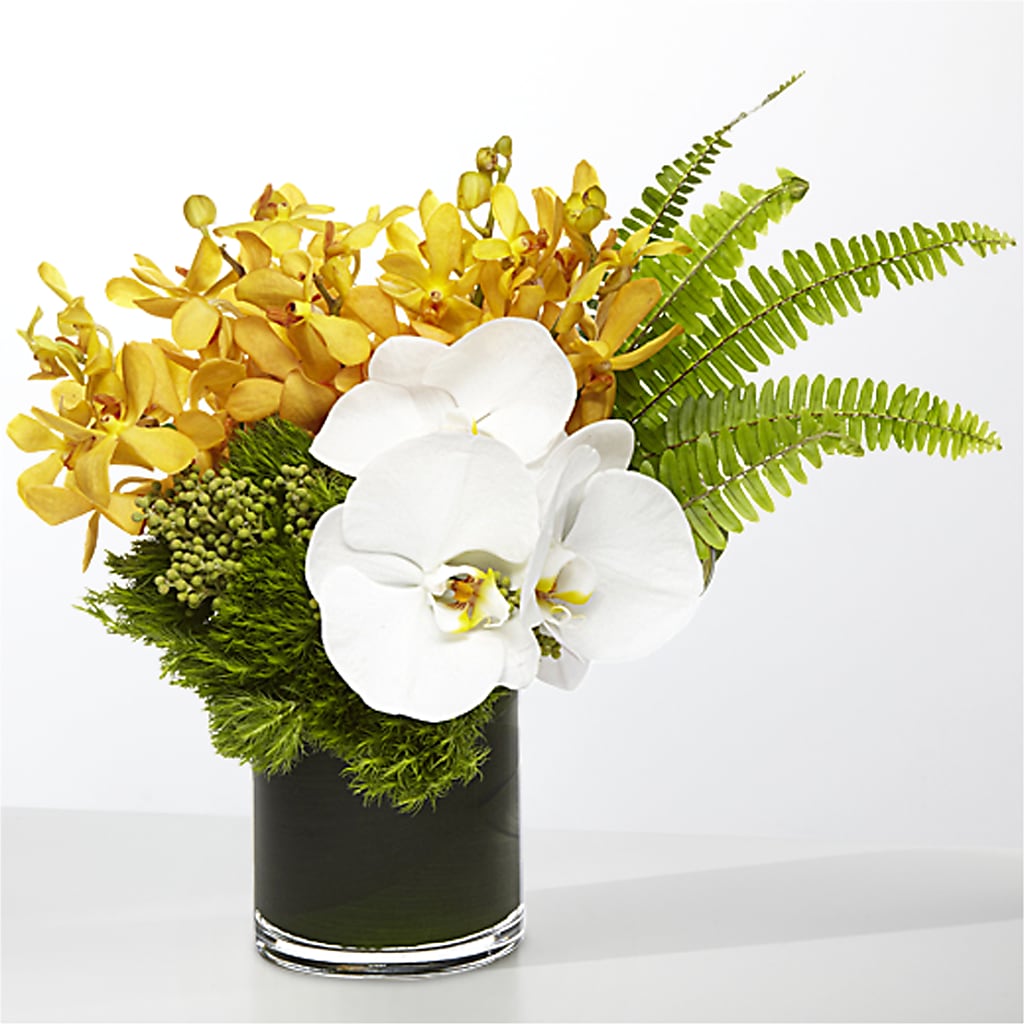 The Tropics – A&L FLORAL, Hamilton NJ