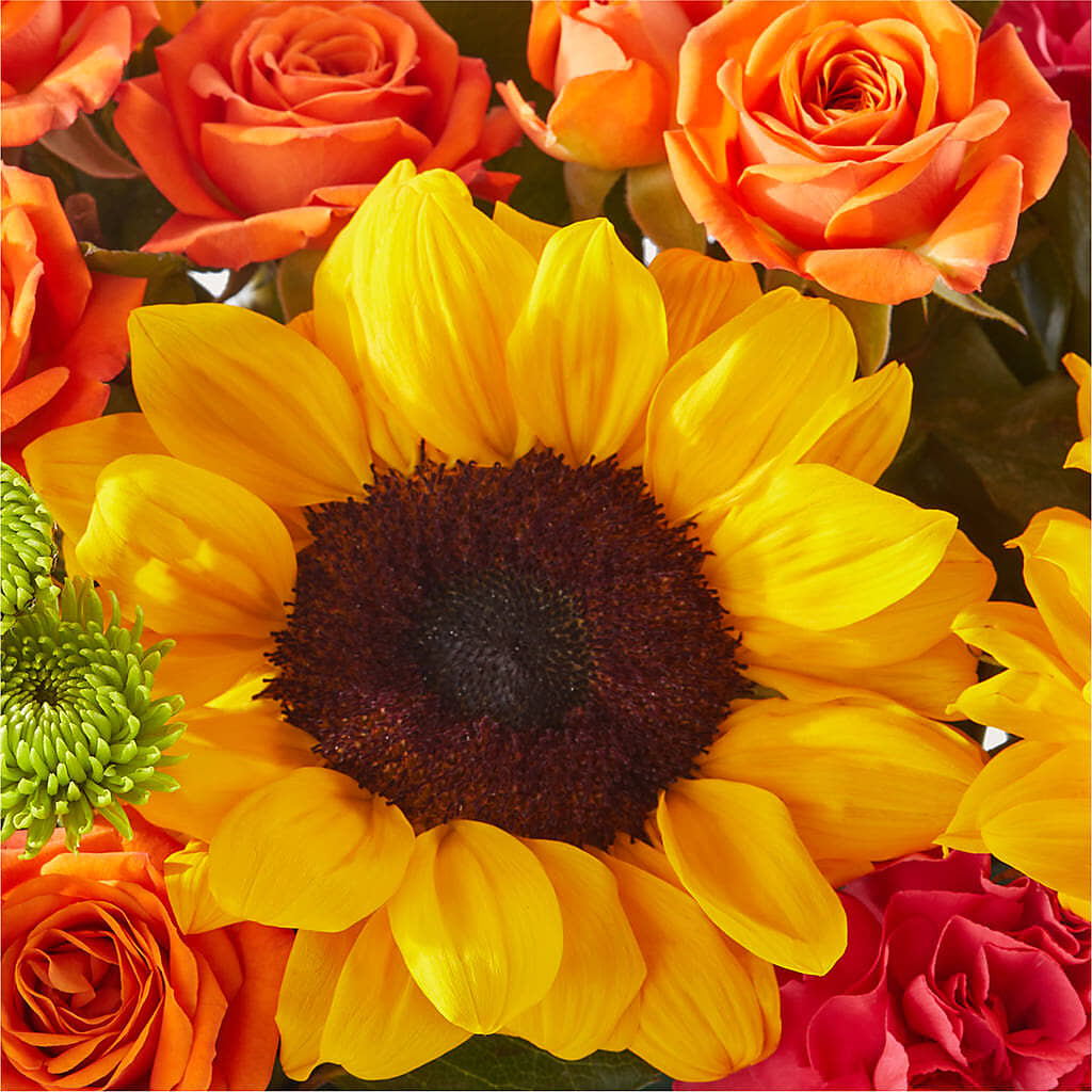Sun-drenched Blooms Box Bouquet – A&L FLORAL, Hamilton NJ