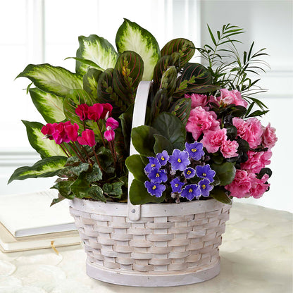 Peaceful Garden Planter – A&L FLORAL, Hamilton NJ