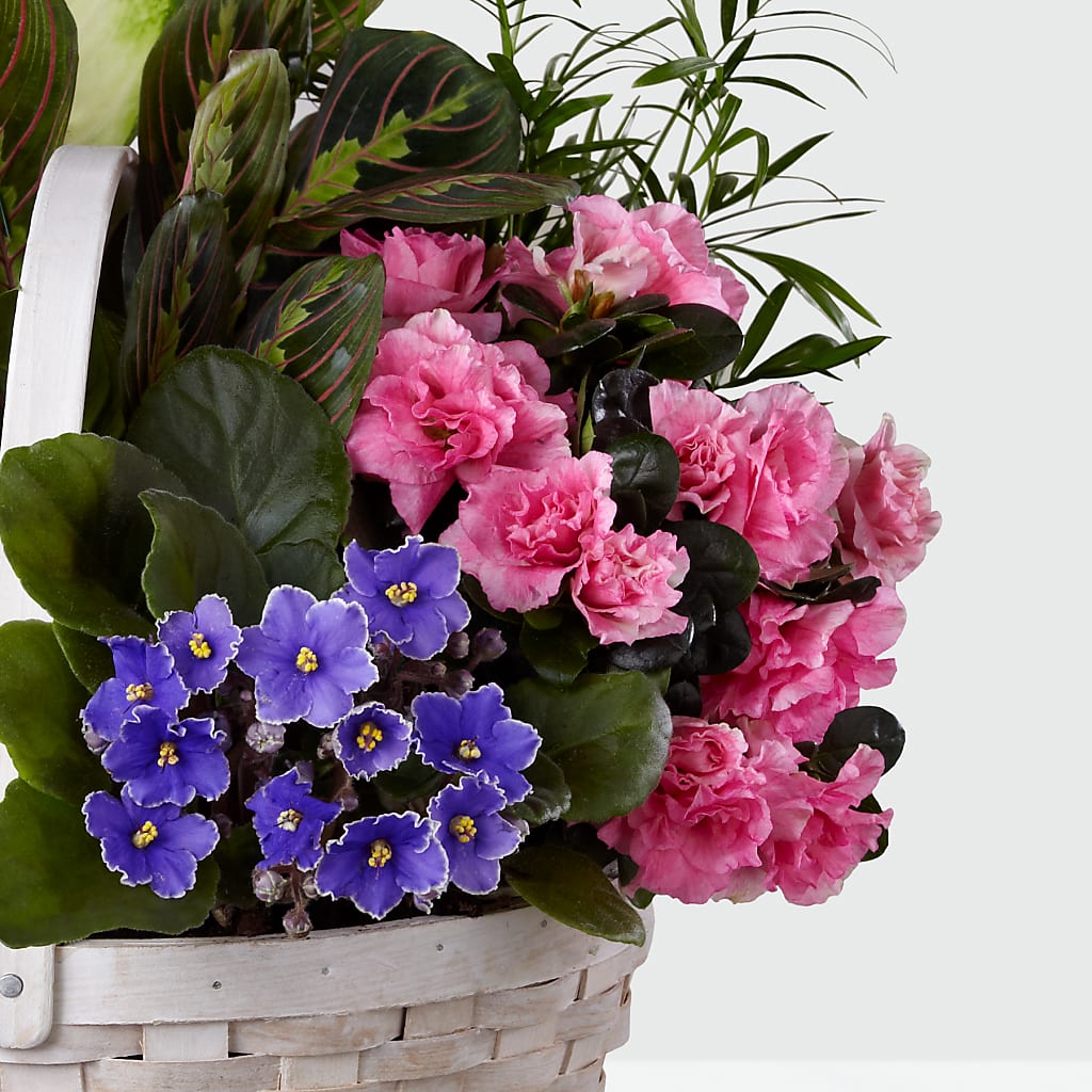 Peaceful Garden Planter – A&L FLORAL, Hamilton NJ