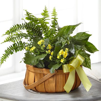 Always Dear Dishgarden – A&L FLORAL, Hamilton NJ