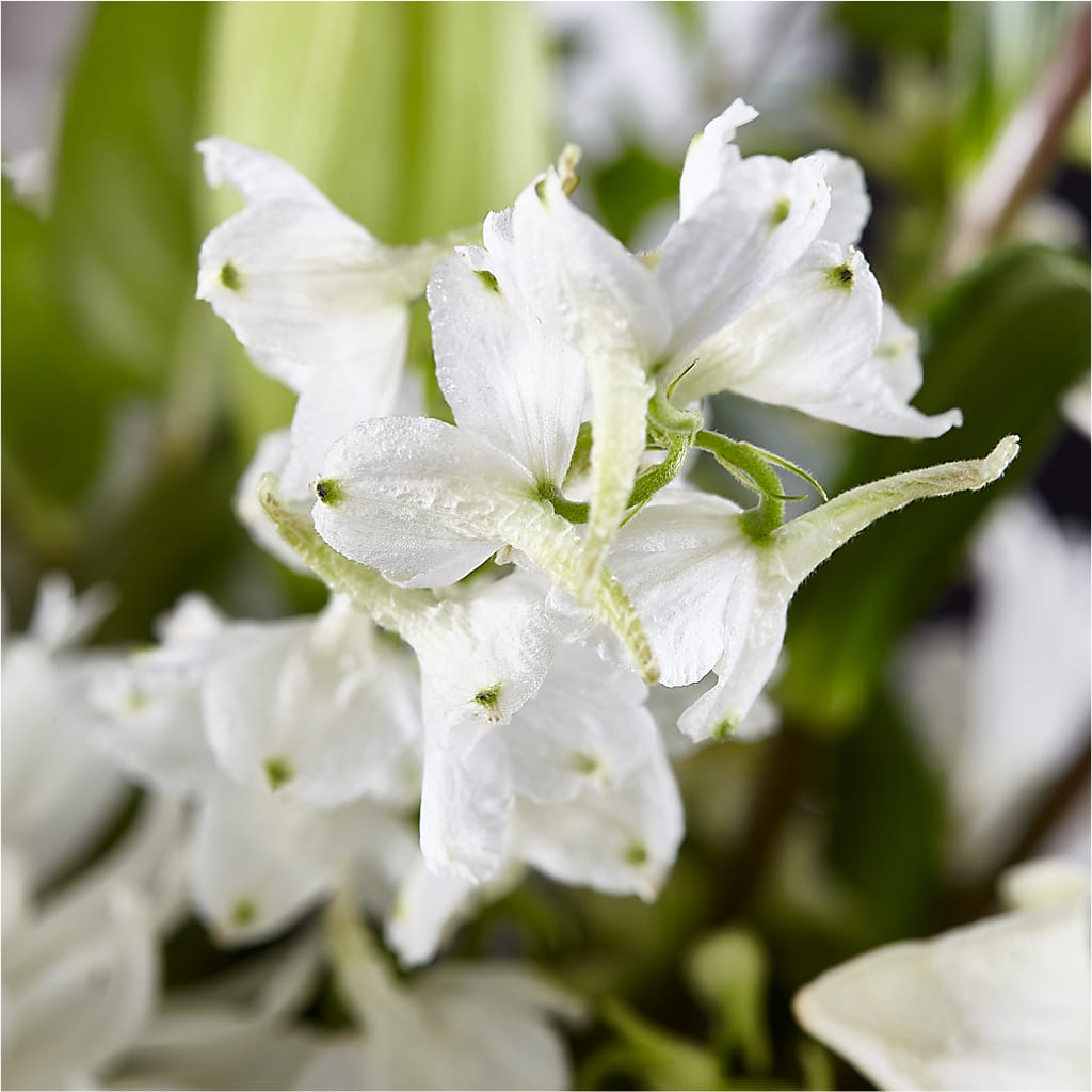 Classic Ivory – A Florist Original – A&L FLORAL, Hamilton NJ