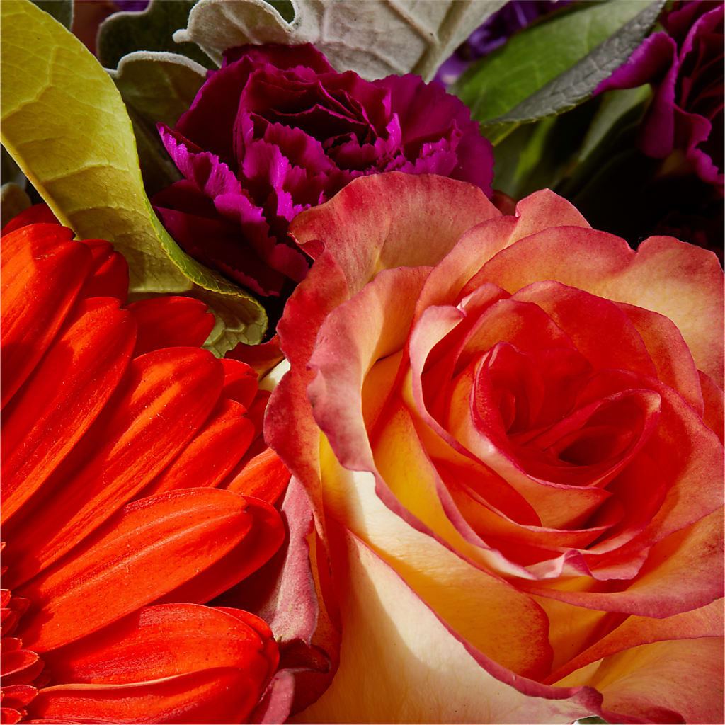 Sangria Bouquet – A&L FLORAL, Hamilton NJ