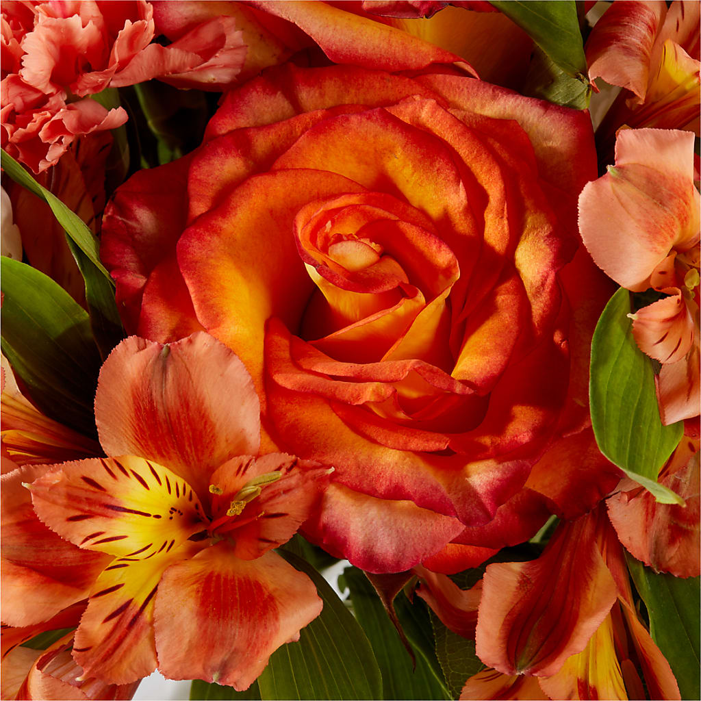 Apricot Glow Bouquet – A&L FLORAL, Hamilton NJ