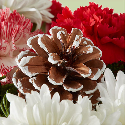 Candy Cane Lane Bouquet – A&L FLORAL, Hamilton NJ