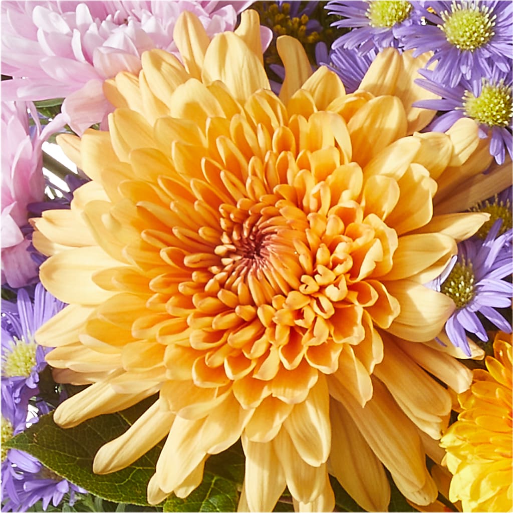 Countryside Bouquet – A&L FLORAL, Hamilton NJ