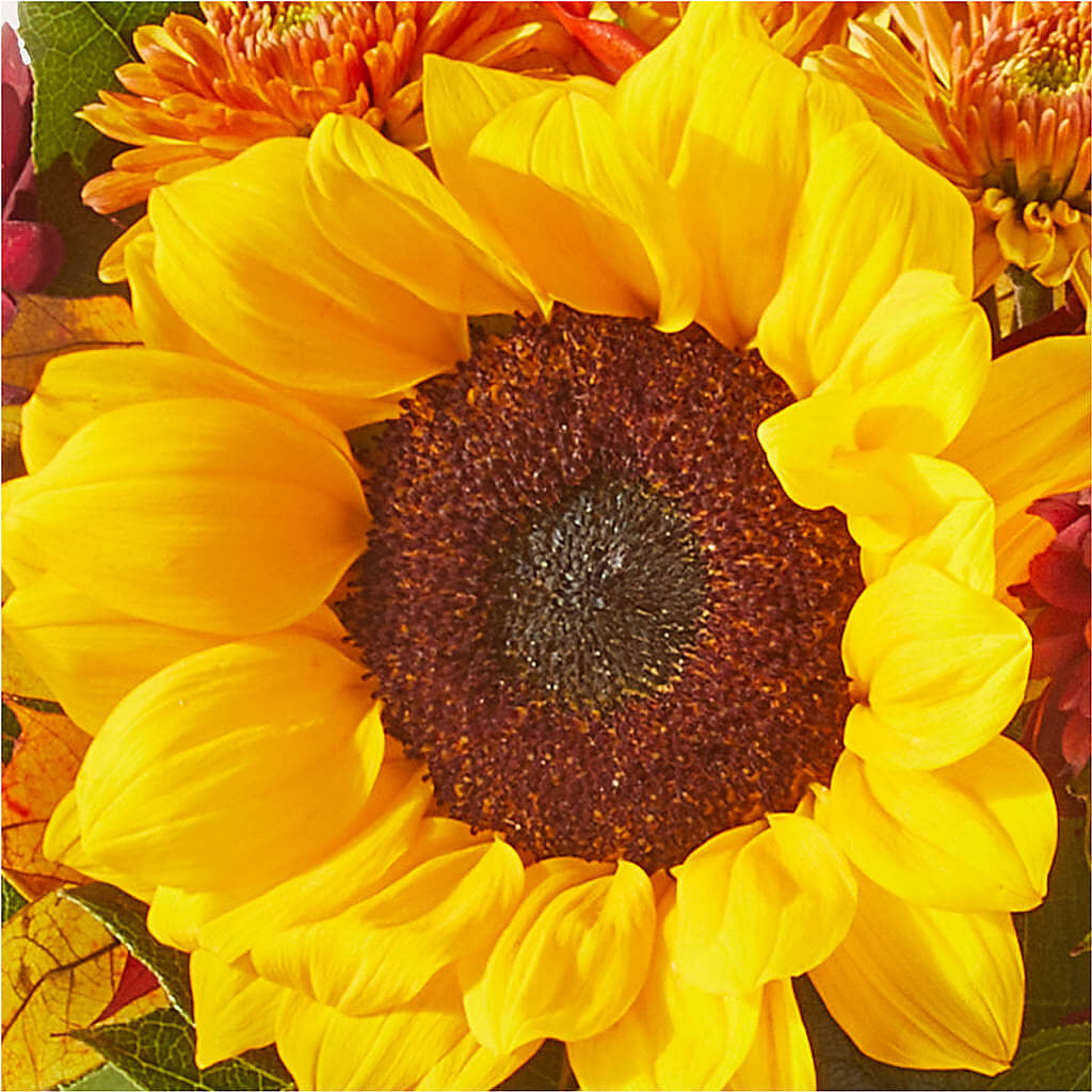 Sunny Side Bouquet – A&L FLORAL, Hamilton NJ