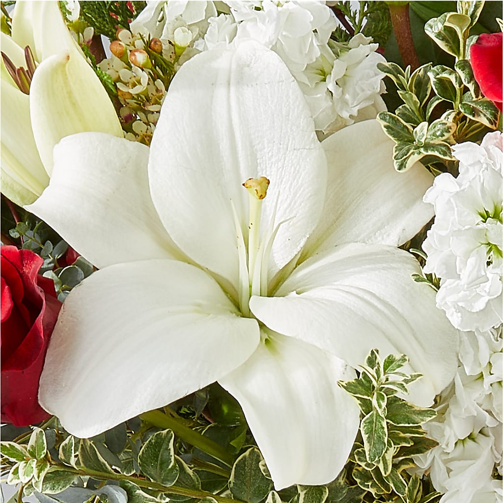 Twinkle Lights Bouquet – A&L FLORAL, Hamilton NJ