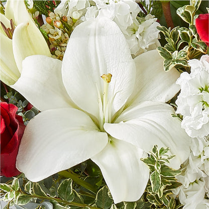 Twinkle Lights Bouquet – A&L FLORAL, Hamilton NJ
