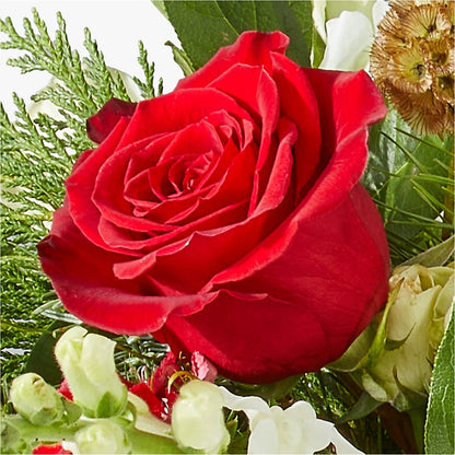 Deck the Halls Bouquet – A&L FLORAL, Hamilton NJ