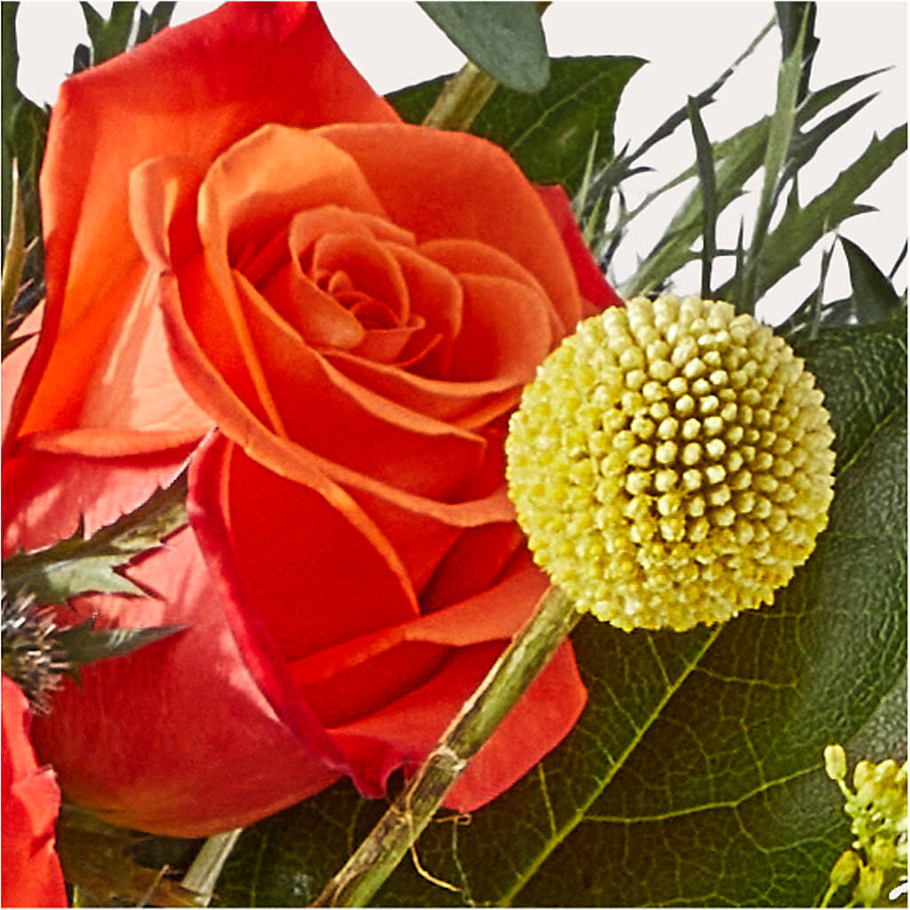 Disco Bouquet – A&L FLORAL, Hamilton NJ